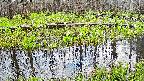 mizubasho7-20250421065042.jpg