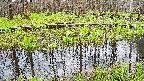 mizubasho7-20250421070040.jpg