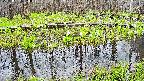 mizubasho7-20250421080041.jpg