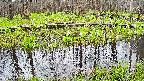 mizubasho7-20250421081040.jpg