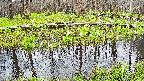 mizubasho7-20250421083042.jpg
