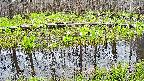 mizubasho7-20250421084042.jpg
