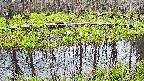 mizubasho7-20250421094040.jpg
