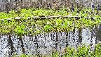 mizubasho7-20250421101043.jpg