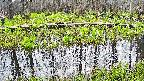 mizubasho7-20250421102041.jpg