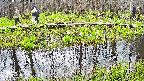 mizubasho7-20250421103042.jpg