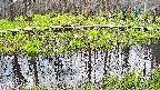 mizubasho7-20250421105042.jpg