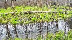 mizubasho7-20250421111040.jpg