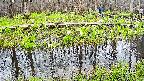 mizubasho7-20250421112043.jpg