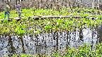 mizubasho7-20250421120046.jpg
