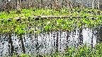 mizubasho7-20250421131045.jpg