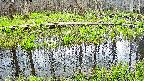 mizubasho7-20250421132041.jpg