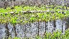 mizubasho7-20250421135041.jpg