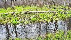 mizubasho7-20250421144042.jpg
