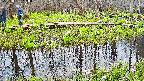 mizubasho7-20250421150041.jpg