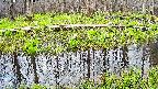 mizubasho7-20250421153043.jpg