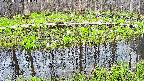 mizubasho7-20250421160043.jpg