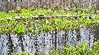 mizubasho7-20250421164042.jpg