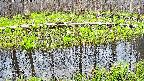 mizubasho7-20250421165042.jpg