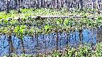 mizubasho7-20250422081041.jpg