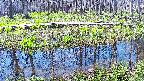 mizubasho7-20250422093045.jpg