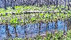 mizubasho7-20250422100040.jpg