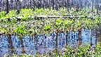 mizubasho7-20250422113046.jpg