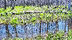mizubasho7-20250422114044.jpg