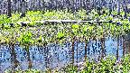 mizubasho7-20250422115041.jpg