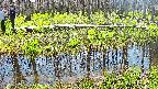 mizubasho7-20250422120043.jpg