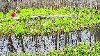mizubasho7-20250424161042.jpg
