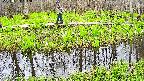 mizubasho7-20250424162040.jpg