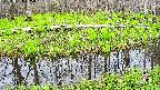 mizubasho7-20250424165040.jpg