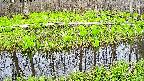 mizubasho7-20250424172042.jpg