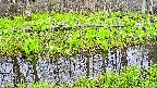 mizubasho7-20250425052041.jpg