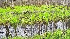 mizubasho7-20250425053040.jpg