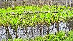 mizubasho7-20250425054038.jpg