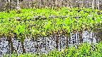 mizubasho7-20250425055041.jpg