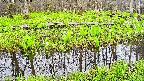 mizubasho7-20250425061038.jpg