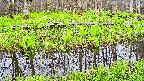 mizubasho7-20250425062040.jpg
