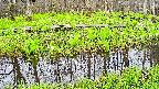 mizubasho7-20250425064041.jpg