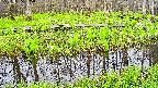 mizubasho7-20250425065040.jpg