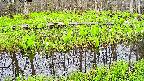 mizubasho7-20250425070041.jpg