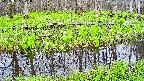 mizubasho7-20250425071040.jpg