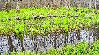 mizubasho7-20250425072041.jpg