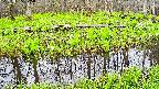 mizubasho7-20250425075039.jpg