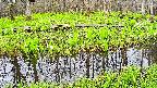 mizubasho7-20250425080038.jpg