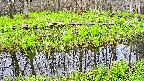 mizubasho7-20250425081039.jpg