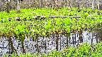 mizubasho7-20250425082038.jpg