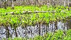 mizubasho7-20250425094042.jpg